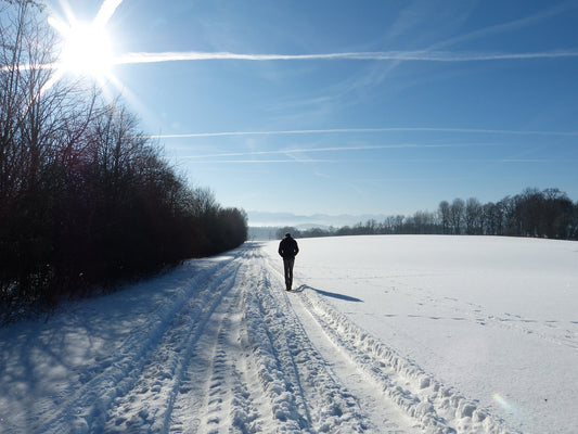 How can we get Vitamin D in the winter months?